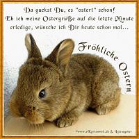 Klicke auf die Grafik fr eine grere Ansicht

Name:	ostern7.JPG
Hits:	300
Gre:	65,4 KB
ID:	8470