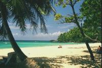 Klicke auf die Grafik fr eine grere Ansicht

Name:	Karibik.Strand.jpg
Hits:	268
Gre:	30,9 KB
ID:	603