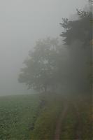 Klicke auf die Grafik fr eine grere Ansicht

Name:	Nebel5.jpg
Hits:	112
Gre:	53,4 KB
ID:	3145