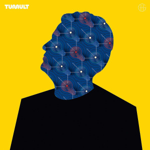 tumult_groenemeyer
