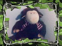 Klicke auf die Grafik f�r eine gr��ere Ansicht

Name:	herzilein.jpg
Hits:	144
Gr��e:	73,8 KB
ID:	1489