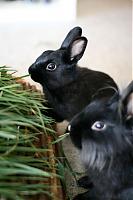 Klicke auf die Grafik fr eine grere Ansicht

Name:	IMG_1705.jpg
Hits:	169
Gre:	97,1 KB
ID:	2440