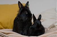 Klicke auf die Grafik fr eine grere Ansicht

Name:	IMG_3892.jpg
Hits:	168
Gre:	96,7 KB
ID:	2441