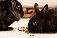 Klicke auf die Grafik fr eine grere Ansicht

Name:	IMG_3900.jpg
Hits:	166
Gre:	119,4 KB
ID:	2442