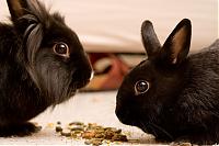 Klicke auf die Grafik fr eine grere Ansicht

Name:	IMG_3901.jpg
Hits:	169
Gre:	118,0 KB
ID:	2443