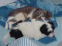 Klicke auf die Grafik fr eine grere Ansicht

Name:	Gismo42.JPG
Hits:	208
Gre:	19,4 KB
ID:	2493