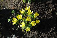 Name:  Fr�hling1.jpg
Hits: 285
Gr��e:  10,4 KB