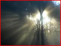 Klicke auf die Grafik fr eine grere Ansicht

Name:	blackforrest.JPG
Hits:	402
Gre:	13,3 KB
ID:	4735