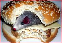 Klicke auf die Grafik f�r eine gr��ere Ansicht

Name:	maus.JPG
Hits:	240
Gr��e:	58,2 KB
ID:	4854