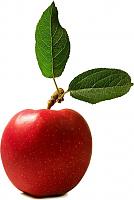 Klicke auf die Grafik f�r eine gr��ere Ansicht

Name:	apfel.jpg
Hits:	183
Gr��e:	62,4 KB
ID:	6620