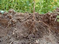 Klicke auf die Grafik f�r eine gr��ere Ansicht

Name:	LV.jpg
Hits:	138
Gr��e:	56,0 KB
ID:	7085