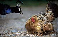 Klicke auf die Grafik f�r eine gr��ere Ansicht

Name:	1.jpg
Hits:	212
Gr��e:	23,4 KB
ID:	8950